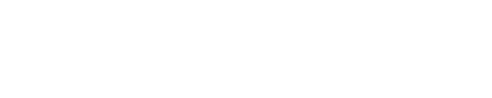 Ezio 12